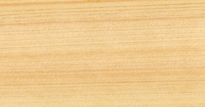 木製名刺　ヒノキ